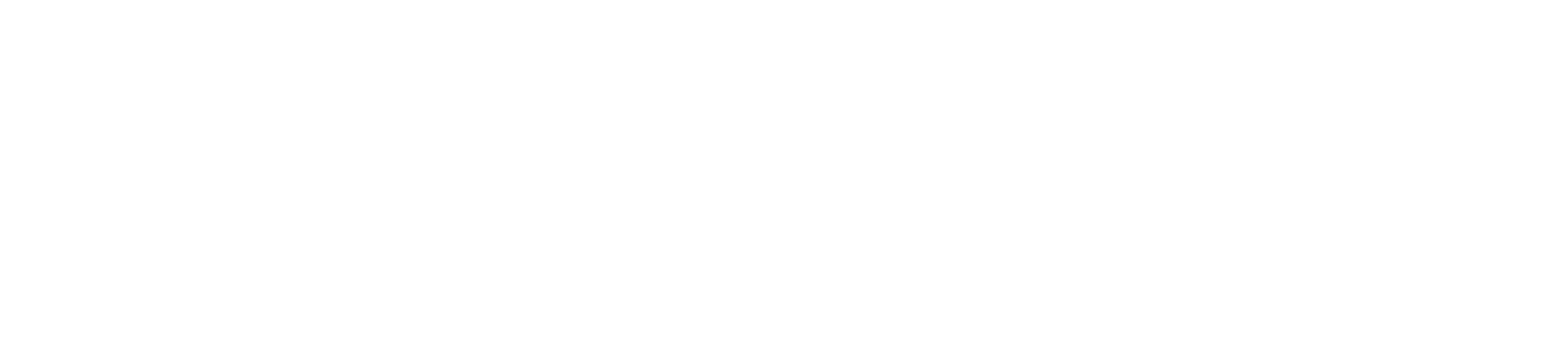 Next Level Nails Salon